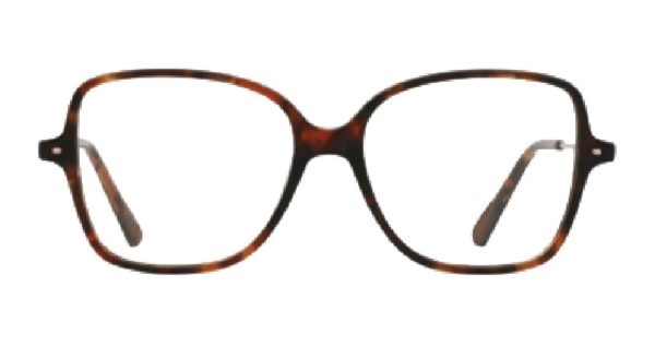 lunette zu 30€